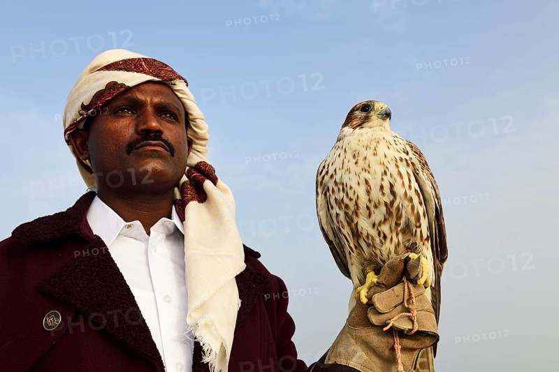 Falconer with his falcon