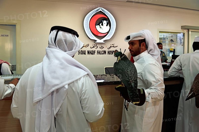 Arab with falcon in reception hall