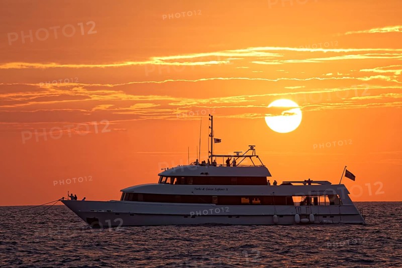 Whale watching and diving ship Turks & Caicos Explorer II