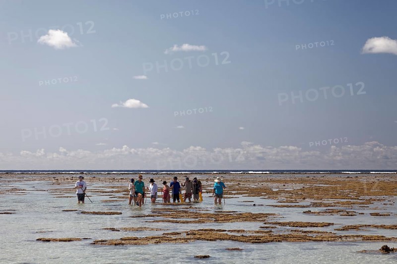 Tourists observe animals in rockpools