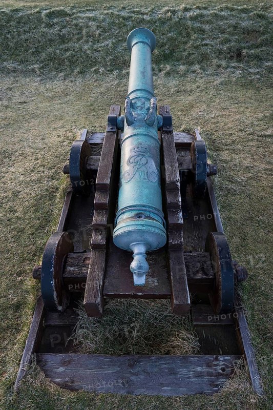 Cannon