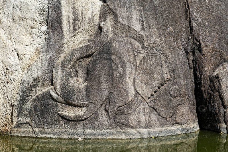Relief Bathing Elephant