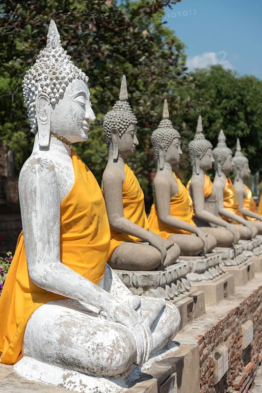 Row of Buddha statues