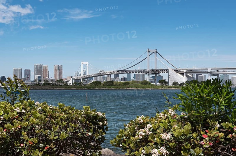 Rainbow Bridge and surrounding Tokyo Bay as seen from Odaiba