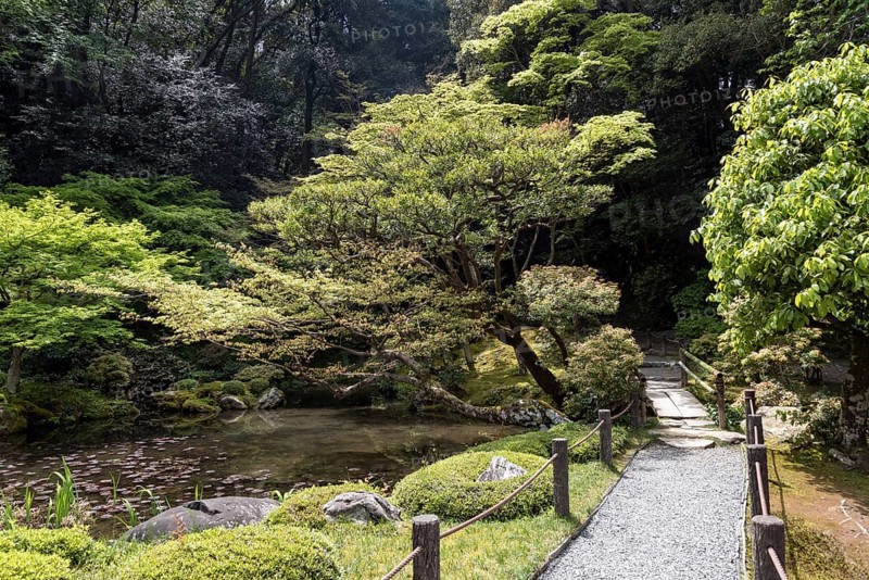Garden of Nanzen-in