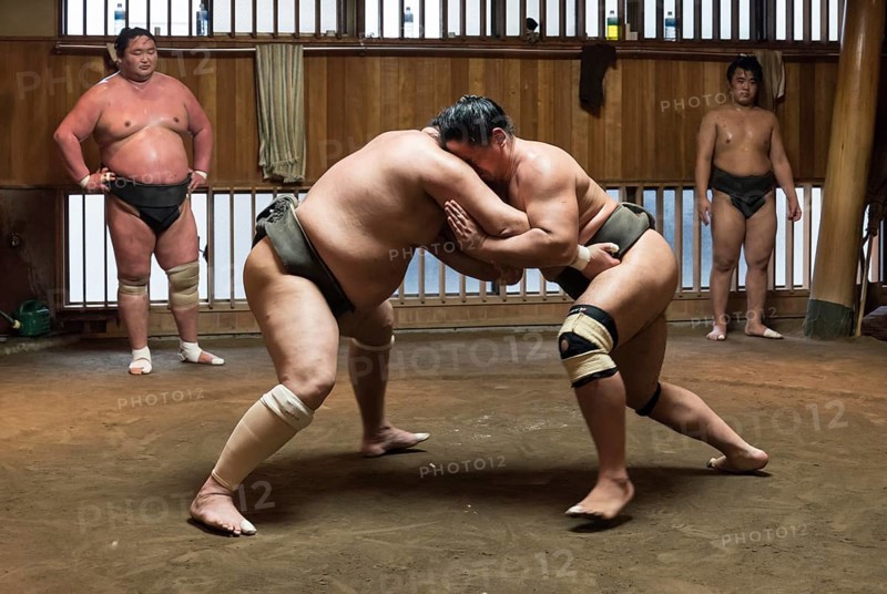 Wrestlers Sumo Training Session