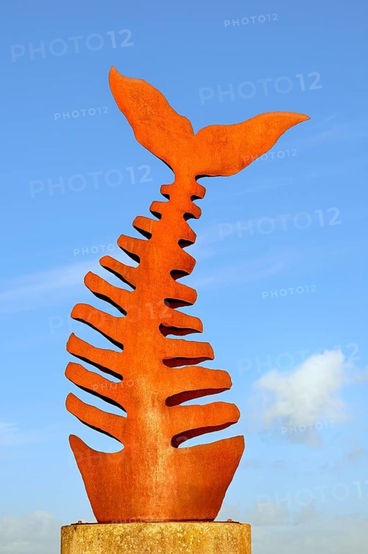 Fishbone sculpture