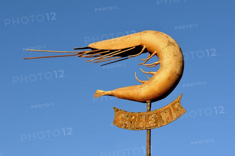 Monument to North Sea brown shrimp