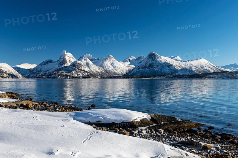 Coastal landscape by the fjord