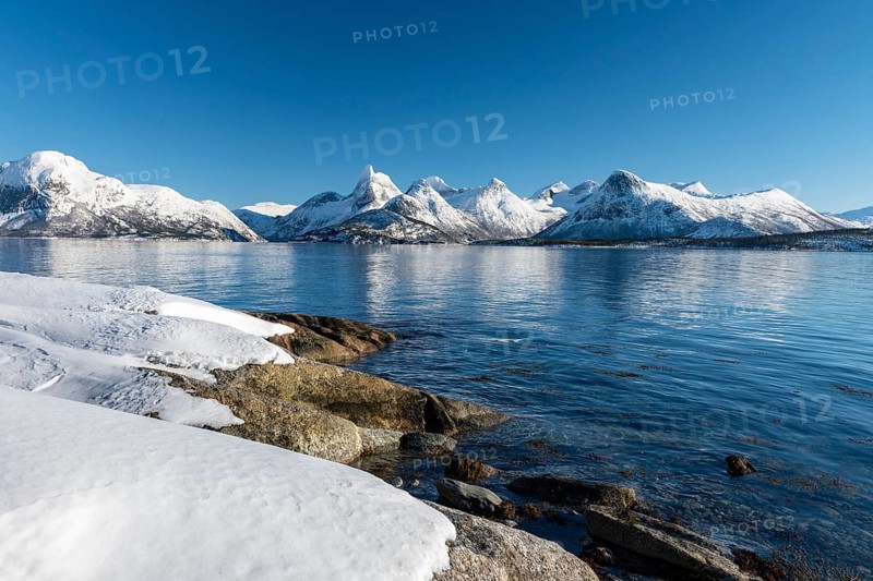 Coastal landscape by the fjord