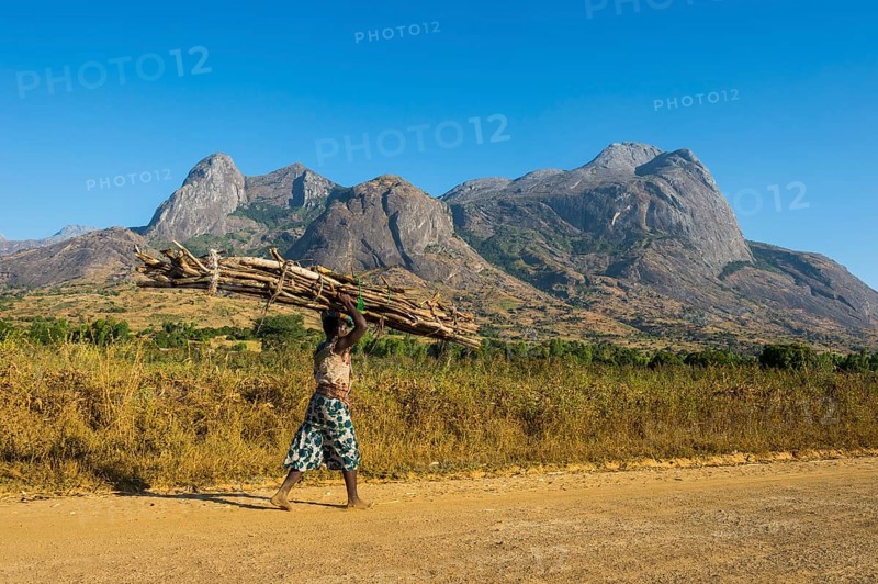 Woman with huge pile of wood carrying wood on her head before Mount Mulanje