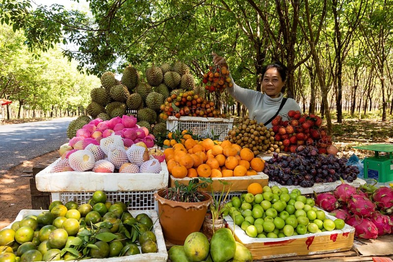 Fruit seller on National Highway 7 near Memot