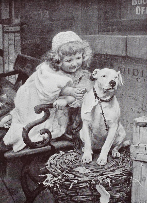Little girl gives the domestic dog a biscuit