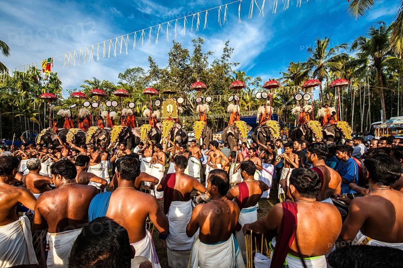 Hindu temple festival with many elephants