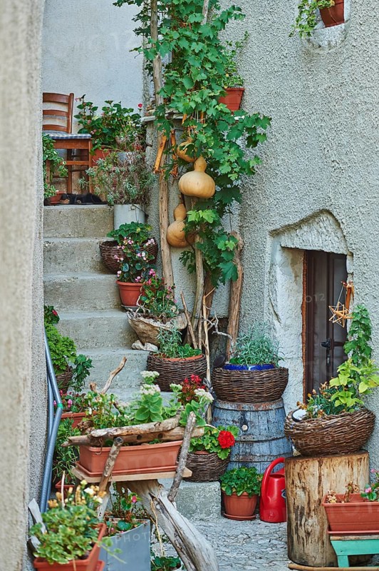 Old lane with flower decoration