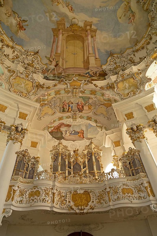 Organ gallery