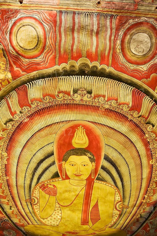Colourful murals