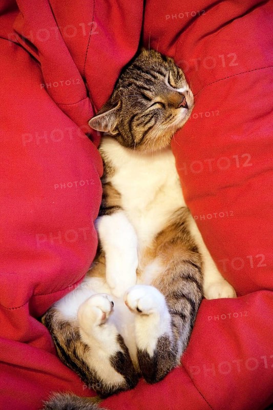 Relaxed