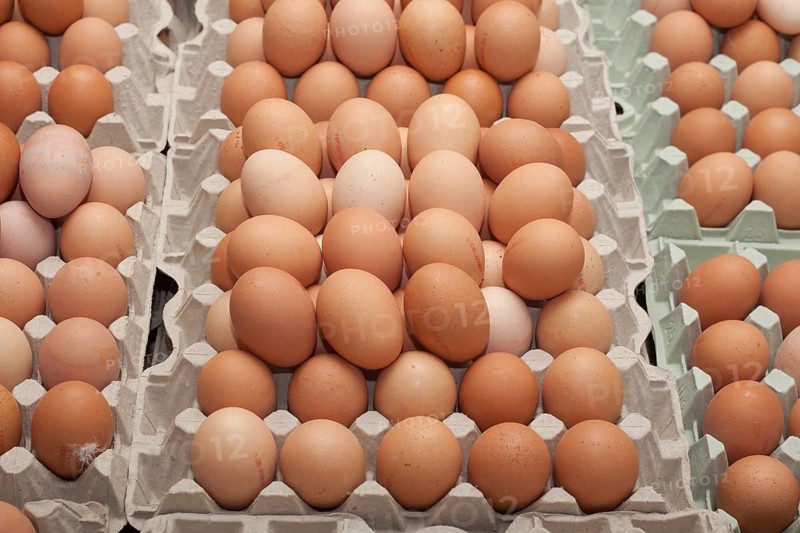 Fresh eggs