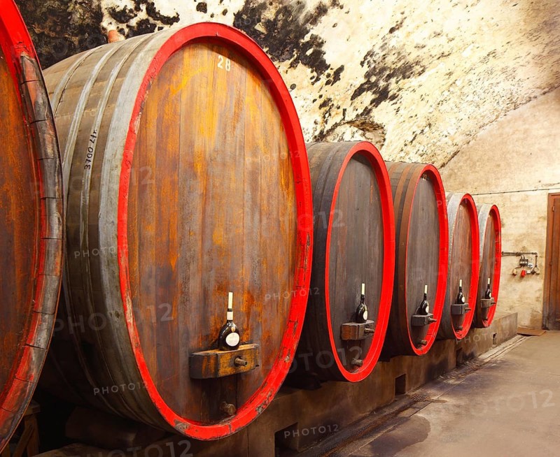 Old wooden wine barrels