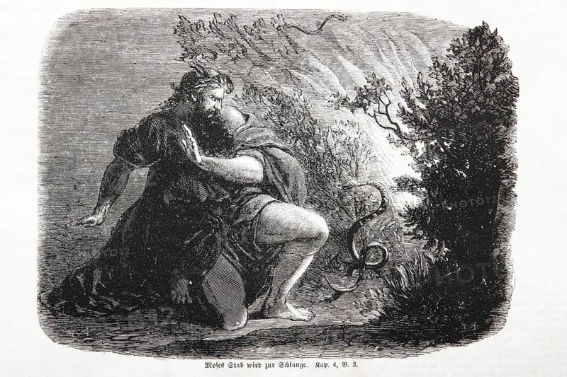 Moses' Staff Becomes a Serpent