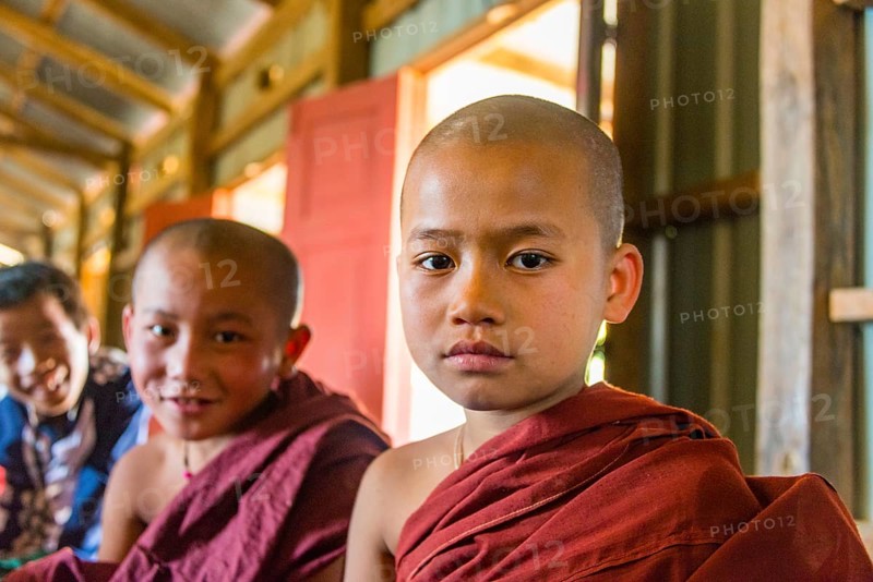 Young monks