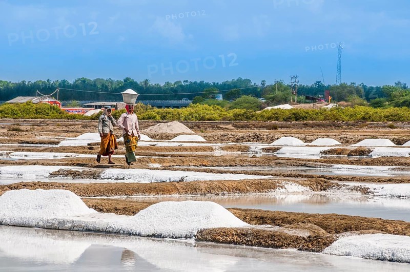 Salt mine workers walking through water basin for salt extraction