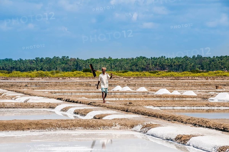 Salt mine workers