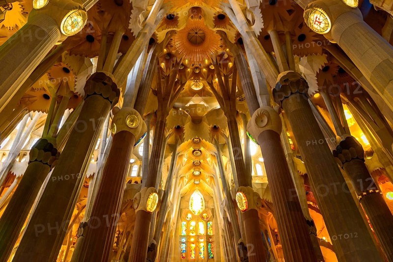 Interior view ceiling vault