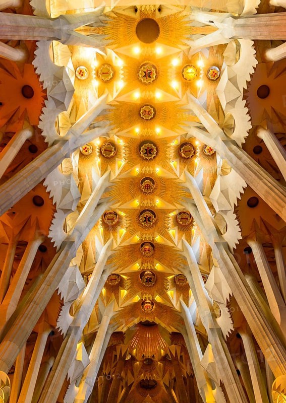 Interior view ceiling vault