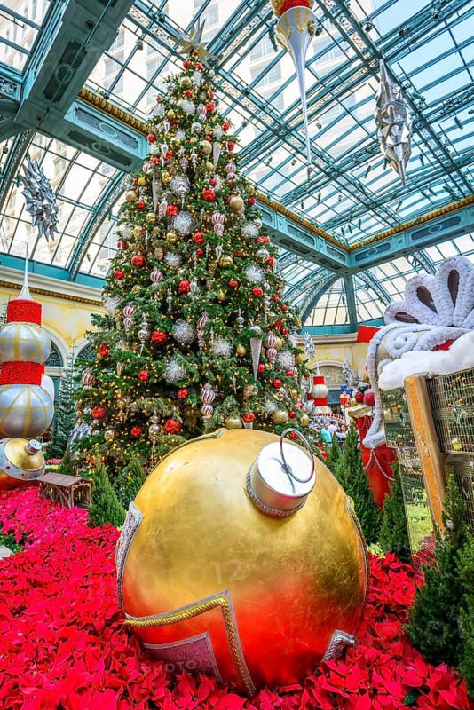 Foyer with Christmas decoration