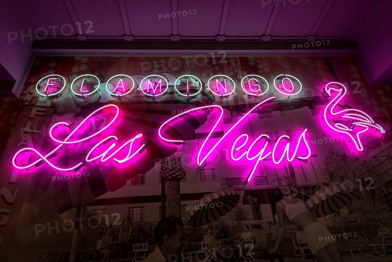 Logo of neon tubes in the entrance area
