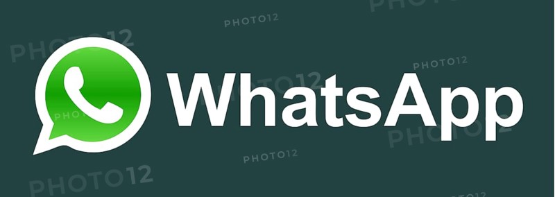 WhatsApp logo