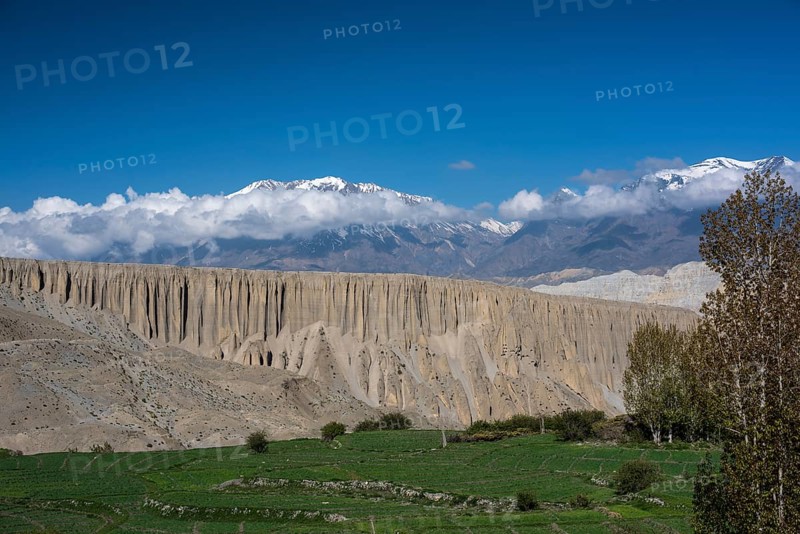 Snowy mountains