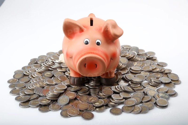 Piggy bank on a pile of euro coins