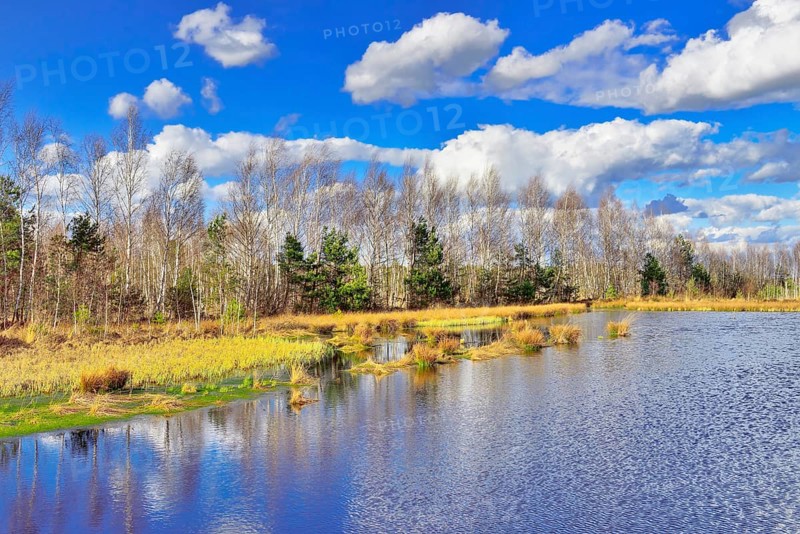 Moorland under a cloudy sky