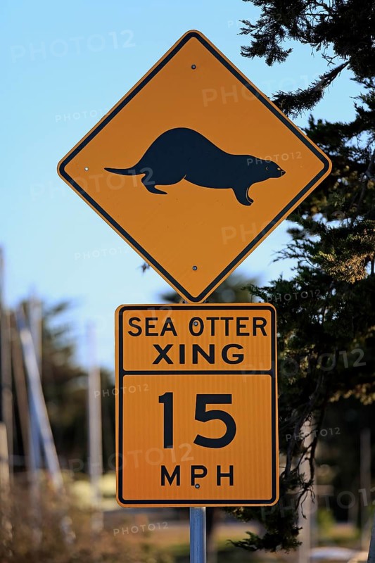 Traffic sign Caution Sea Otter