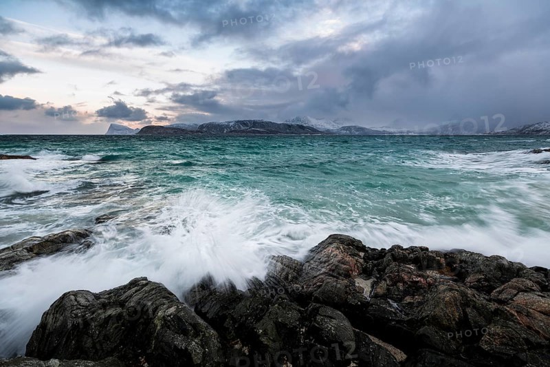 Waves