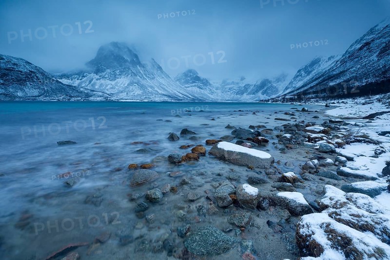 Winter landscape