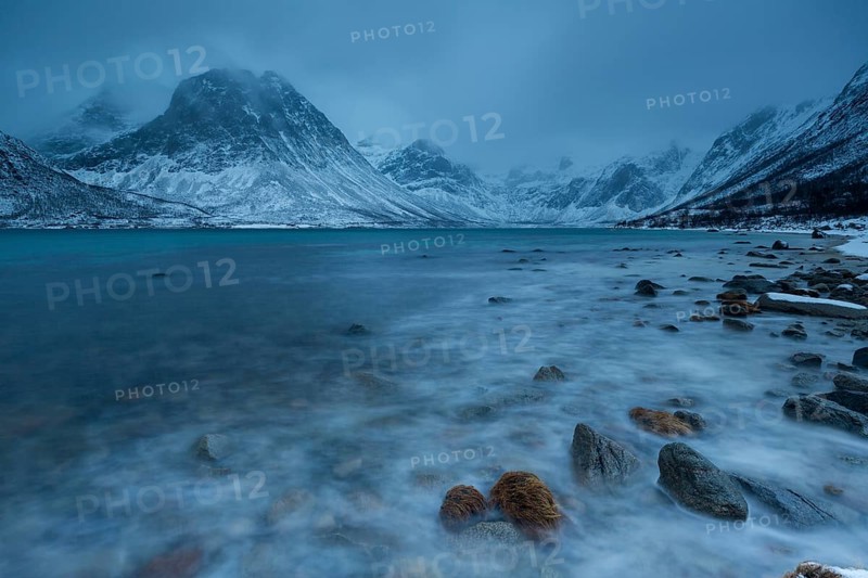 Winter landscape