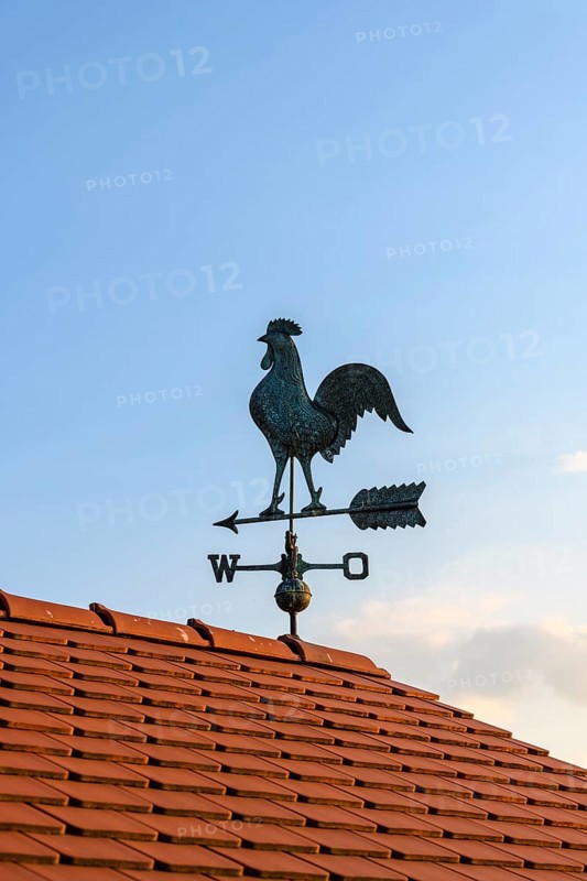 House roof with weather vane with weather vane
