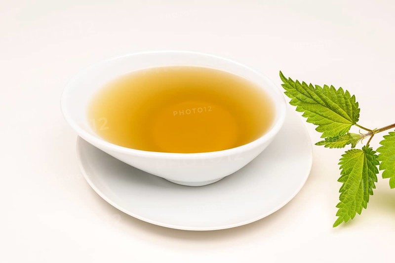 Nettle Tea (Urtica dioica)
