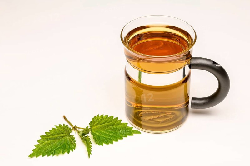 Nettle Tea (Urtica dioica)