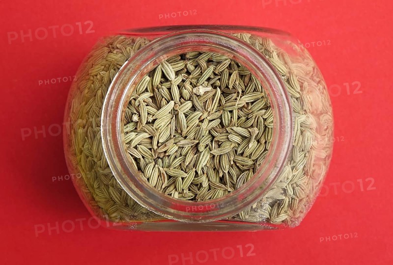 Fennel seed in glass (Foeniculum vulgare)