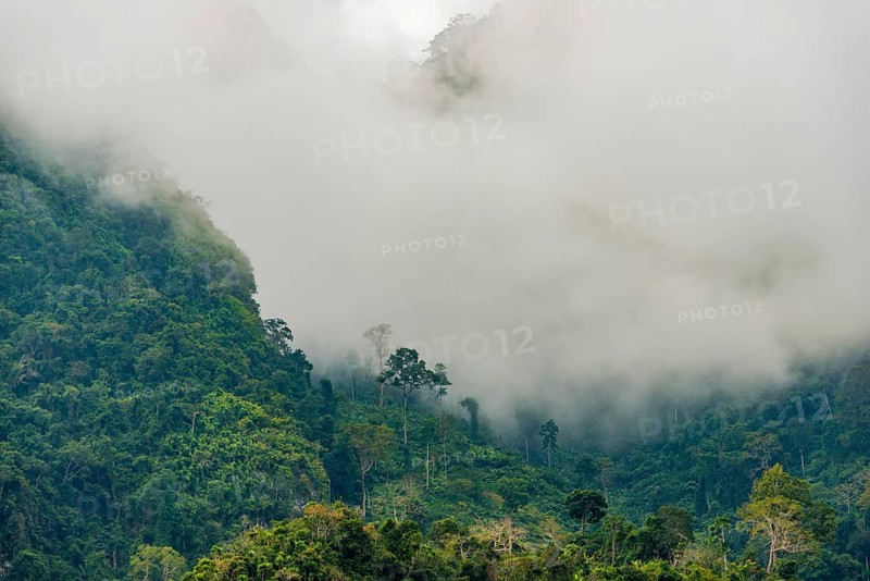 Karst mountains shrouded in clouds