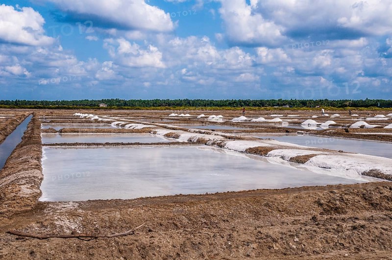 Water basin for salt extraction