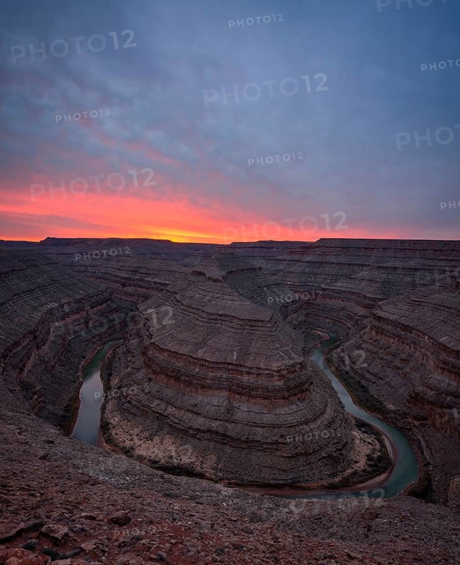 Goosenecks at sunset