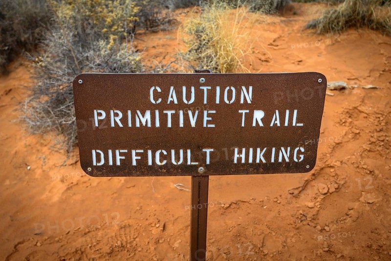Caution Primitive Train