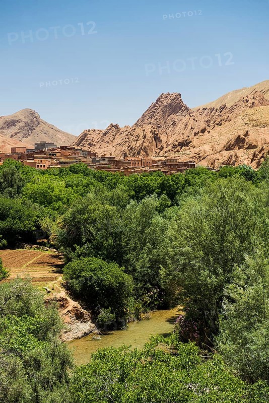 Oasis in Dades Gorge