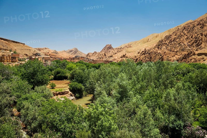 Oasis in Dades Gorge